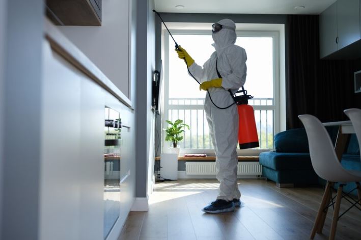 Importance of Disinfection in Homes