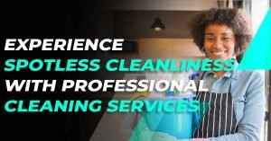 Professional Cleaning Services