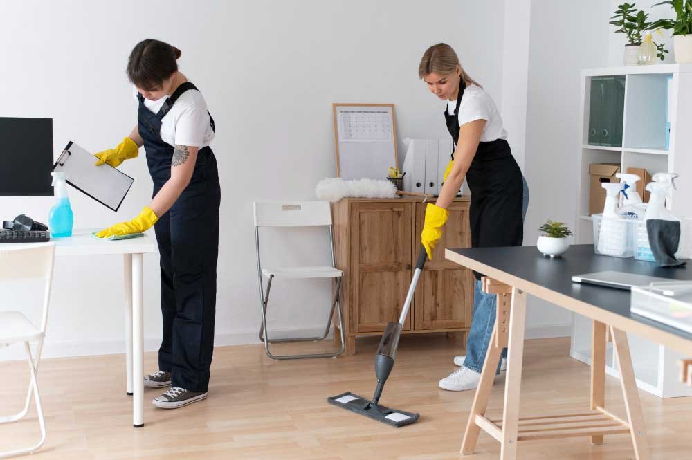 Professional Cleaning Services