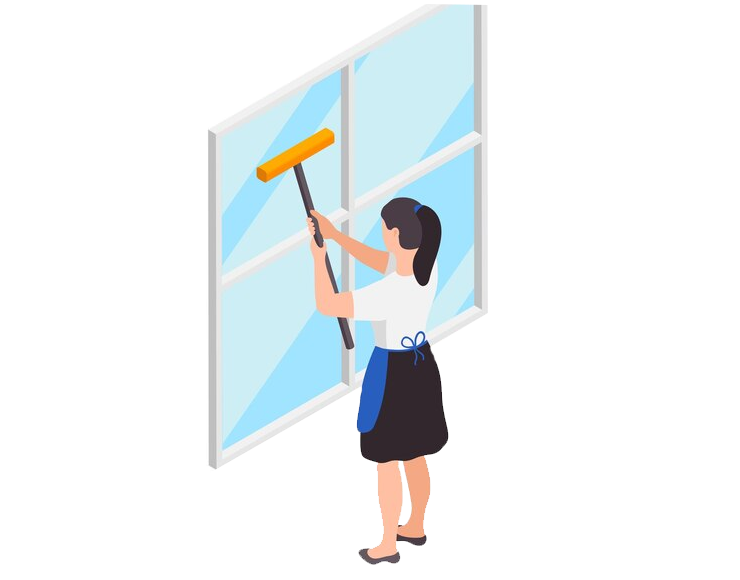 Window Cleaning Services