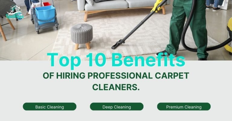 Professional Carpet Cleaner Professional Carpet Cleaner